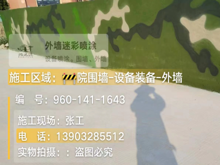漳州 迷彩漆喷涂价格(按平方米计费)