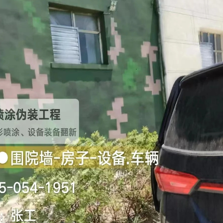 漳州数码迷彩漆施工